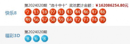 2024年香港开奖历史记录2024年香港开奖历史记录概览