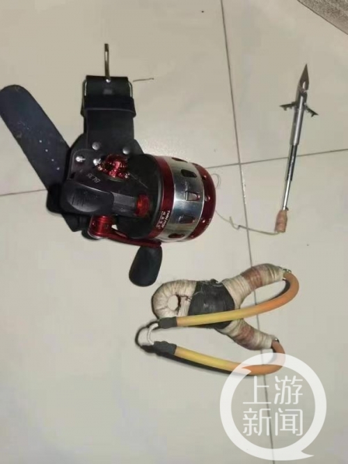 弹弓猎兔弹弓射恶兔