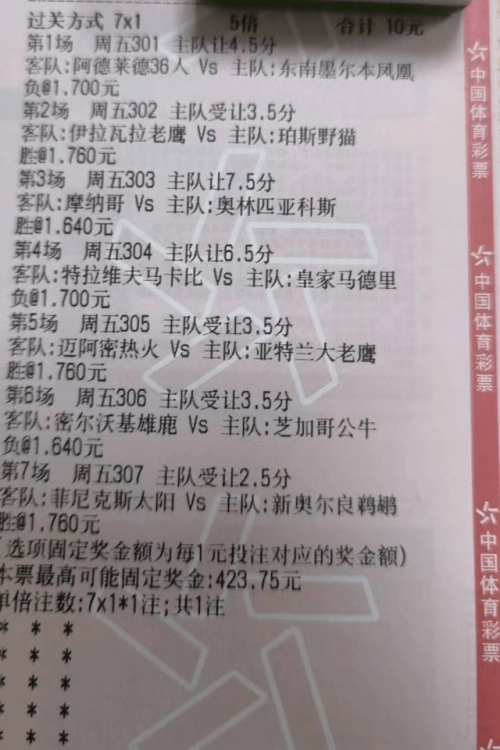 今日特马，探索与发现-第2张图片