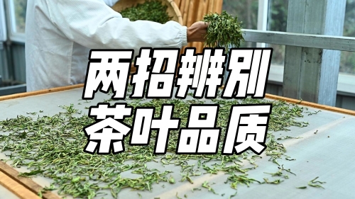 茶叶卫生标准茶叶卫生标准与茶叶品质保障-第2张图片