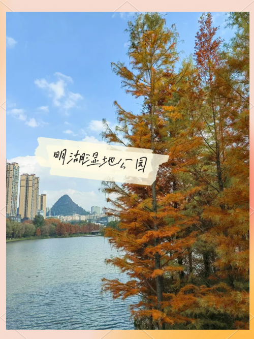 云南贵州旅游攻略云南贵州旅游攻略-第2张图片