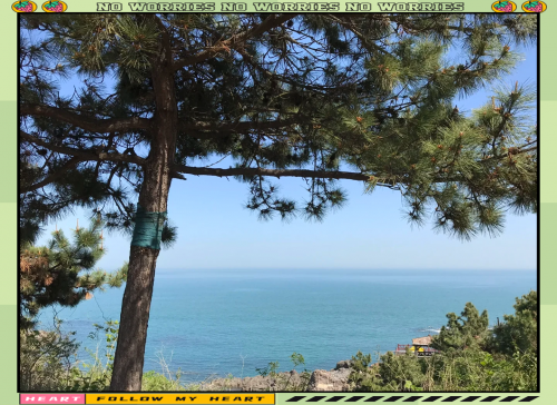 森湖溪谷森湖溪谷之旅-第2张图片