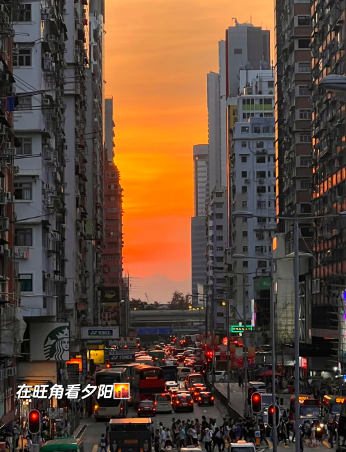 香港正版马会资料 app香港正版马会资料