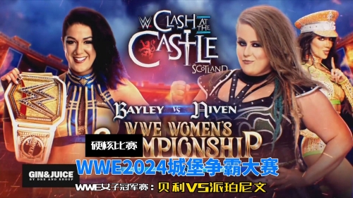 澳彩资料免费资料大全，WWE世界摔角娱乐深度解读-第1张图片