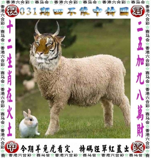 2024精准管家婆一肖一马，未来展望与策略规划