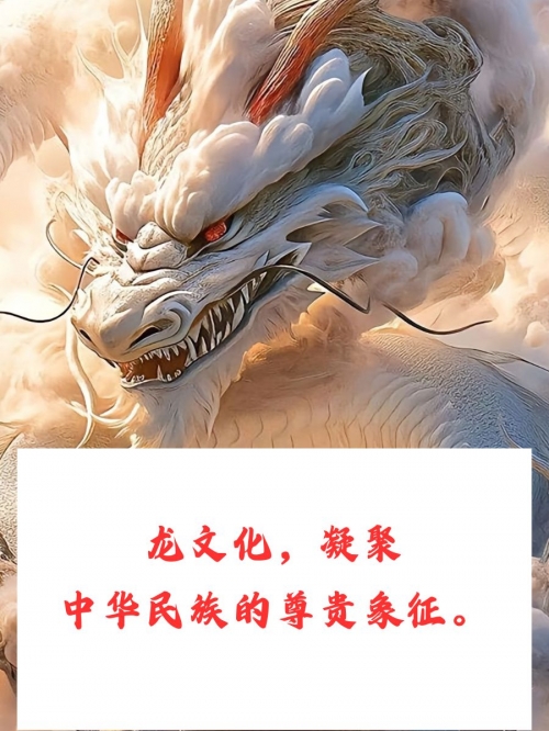 葡京赌侠打正确生肖葡京赌侠，一场赌局的传奇