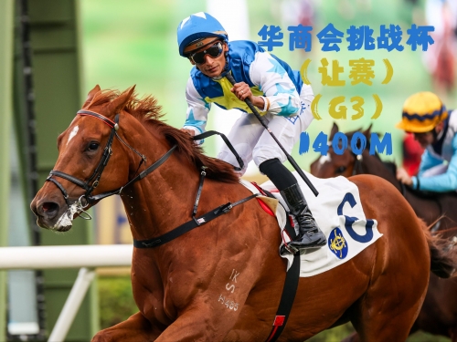 香港赛马会排位，赛马运动的荣耀与挑战-第1张图片