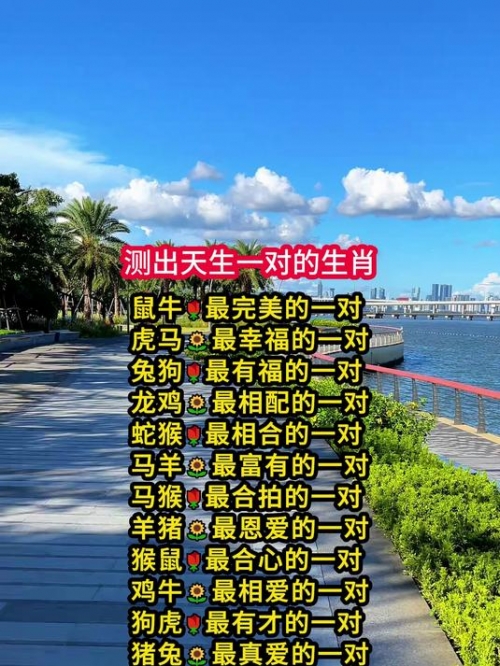 貂蝉满座打一生肖——虎-第1张图片