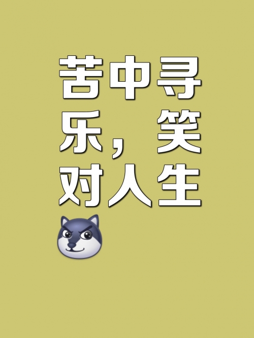 盈乐乐盈乐乐，乐在其中的人生