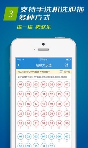 管家婆心水正版资料，专业资料库，助力企业管理-第3张图片