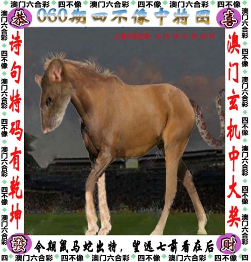49图库49.tkcom49探索49图库，探索无限创意与视觉盛宴
