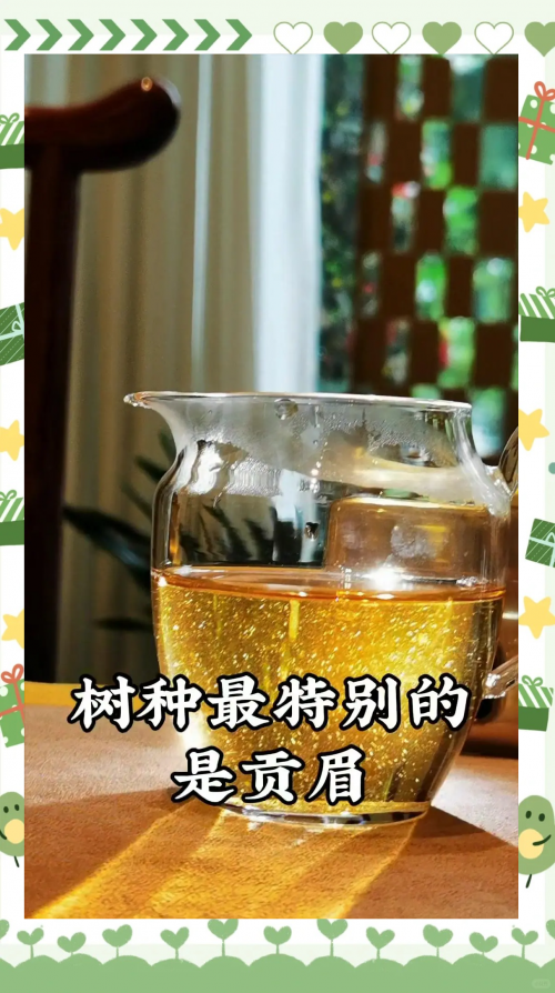 白茶最出名的是哪几种白茶最出名的几种-第3张图片