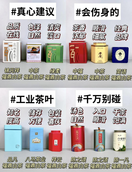 白茶最出名的是哪几种白茶最出名的几种-第2张图片