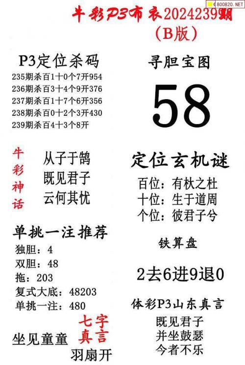 2024精华版布衣图全图2024精华版布衣图全图解析-第3张图片