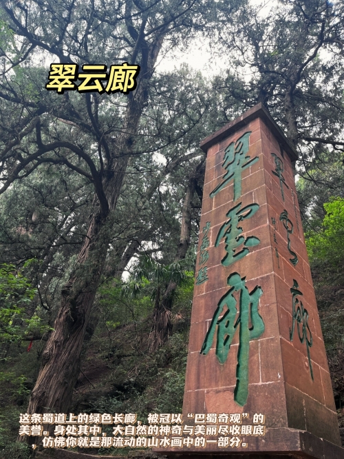 广元长途汽车站广元长途汽车站，交通枢纽与城市门户