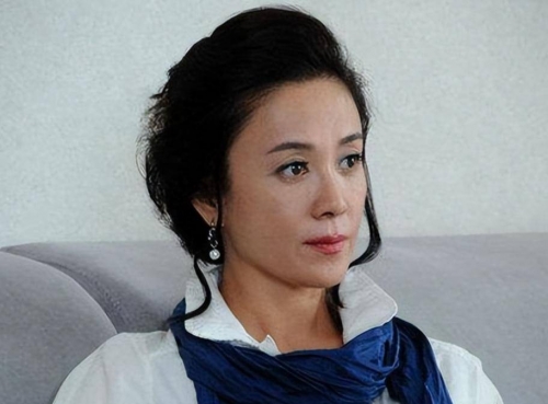 傅艺伟和金巧巧对比照傅艺伟与金巧巧，演艺界的璀璨明珠-第2张图片