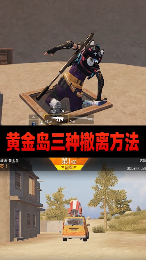 黄金岛官网黄金岛官网，探索黄金岛的神秘世界