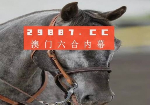 澳门一肖一码100%准确网站澳门一肖一码网站，准确率100%的权威之选-第1张图片