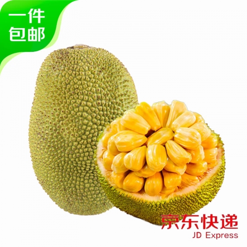 菠萝蜜官网免费观看菠萝蜜官网，探索健康与美味的完美结合-第3张图片