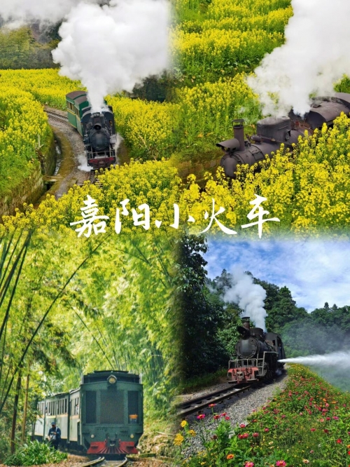 乐山大佛的门票乐山大佛门票攻略-第3张图片
