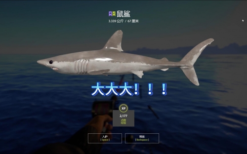 万能鲨鱼网络版，全面解析与展望-第2张图片