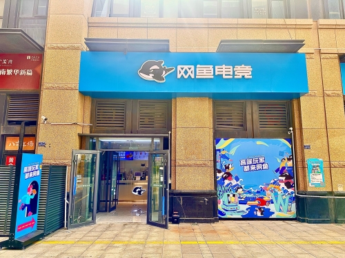 万能鲨鱼网络版，全面解析与展望