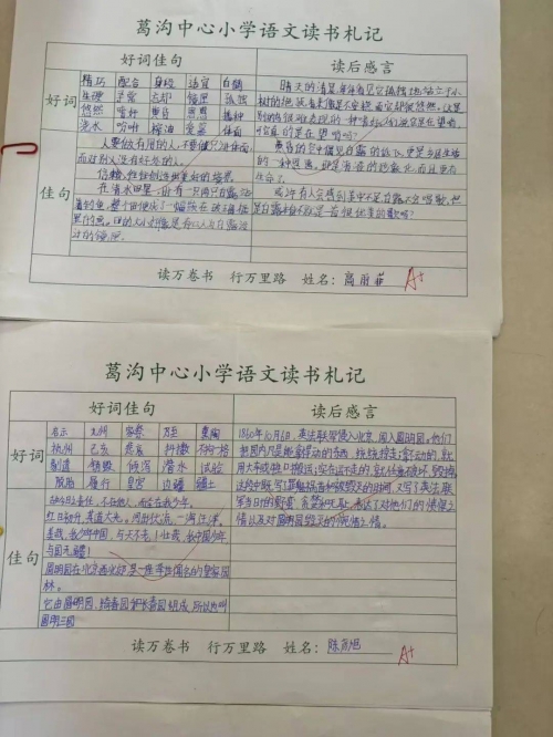 互动作业，构建高效学习环境的利器