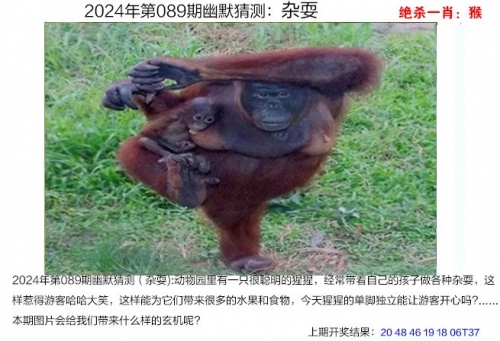 澳门特马开奖结果2020 开奖记录_澳门特马2020开奖结果揭晓