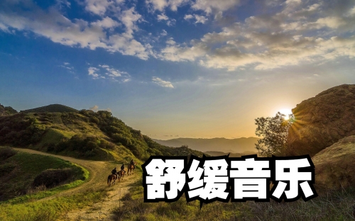 天天音乐网天天音乐网，音乐之海，悦耳之音