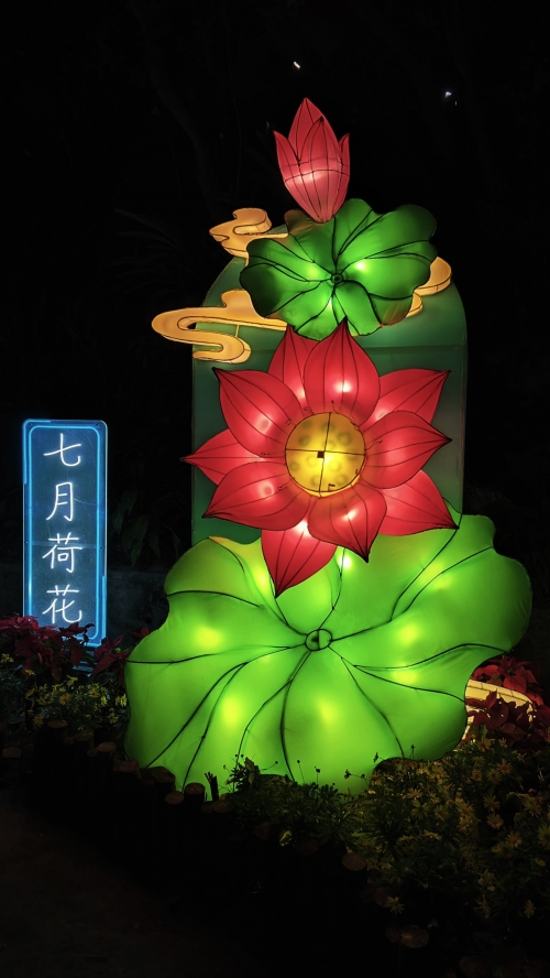 2024今晚澳门澳门之夜，2024璀璨星空下的浪漫之旅-第3张图片