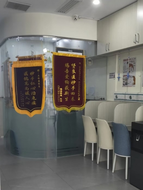 跑狗网跑狗网，引领宠物健康与训练的新潮流-第2张图片