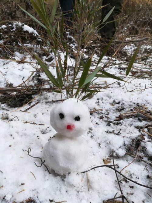 雪白泥的介绍雪白泥之探索