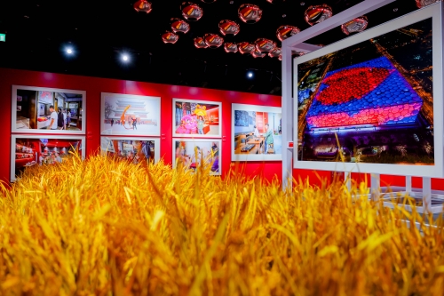 2023年澳门特马今晚开码,西风两岸芦花斜澳门特马今晚开码，展望新的一年-第1张图片