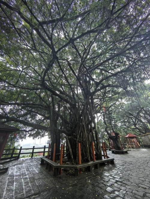 东山岭之旅