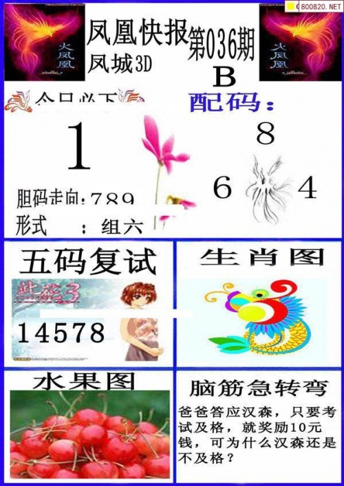 福彩3d双彩论坛字谜专区双彩网双彩网3D，探索数字娱乐新篇章-第2张图片