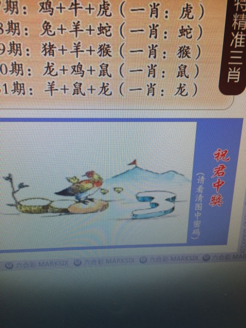 澳门一肖一码100%精准一百度澳门一肖一码，精准预测与幸运之选