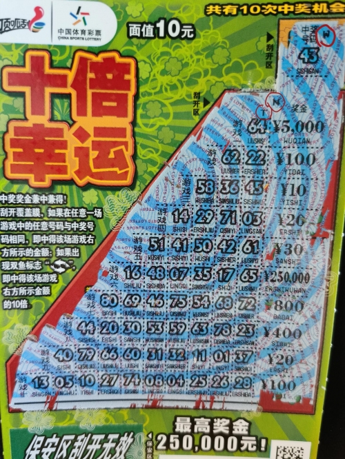 黑龙江11选五的走势图黑龙江11选5，彩票新机遇