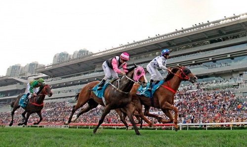 2021年香港马会今期开奖2021年香港马会今期开奖回顾-第2张图片