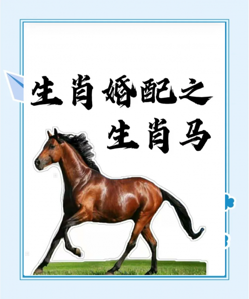 正版马会免费资料大全专业正版马会免费资料大全专业版-第1张图片