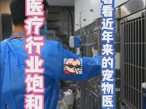 博狗网HAOBC，引领宠物行业的新篇章-第1张图片