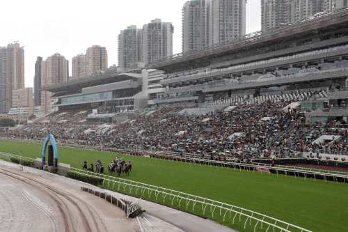 香港赛马会排位表资料表赛香港赛马会排位表揭晓-第2张图片