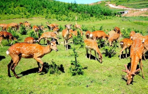 定西旅游景点大全定西旅游景点大全-第3张图片