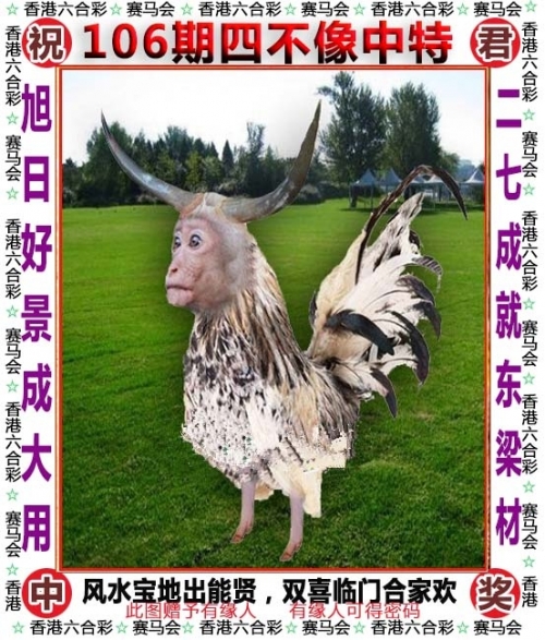 港澳台49图库免费资料大全-第2张图片