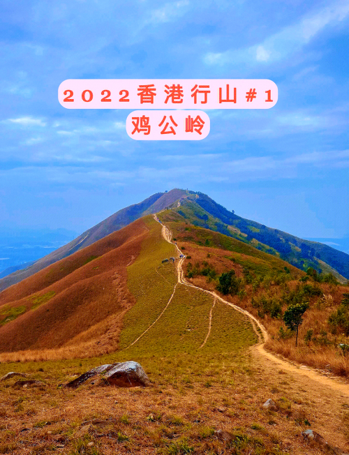 2022年正版资料大全完整版香港正收资料全年免费公开2022年正版资料大全完整版-第3张图片
