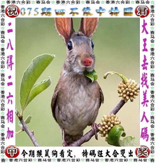 白小姐三码选一肖白小姐三码三期必中一期
