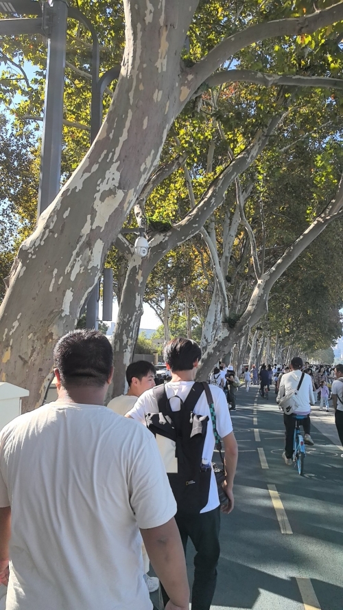 拥挤-第1张图片