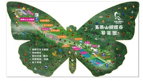 蝴蝶谷论坛，探索自然之美与交流心得-第3张图片