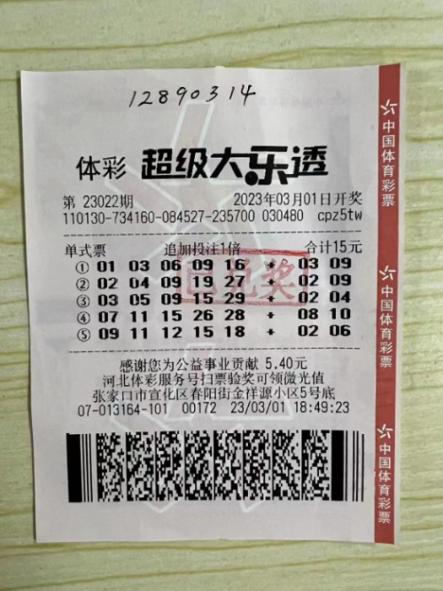 彩票网站十大排名彩票网站，探索数字世界的神秘财富之门-第3张图片