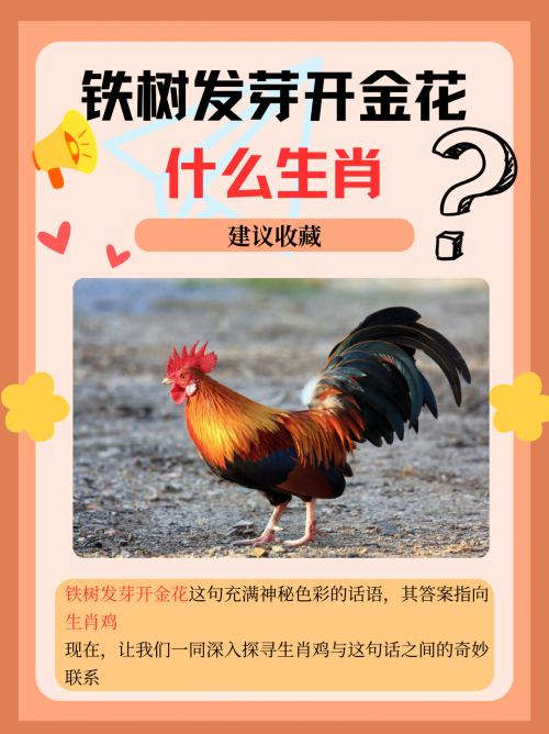 3438铁算盘3438铁算盘，智慧与传统的结晶-第1张图片