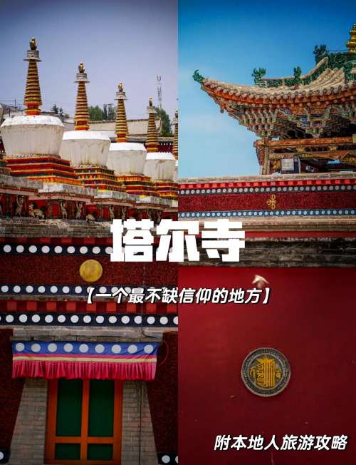 多才多艺网，艺术与才华的交汇之地-第3张图片